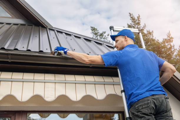 Roof Cleaning and Gutter Maintenance Experts